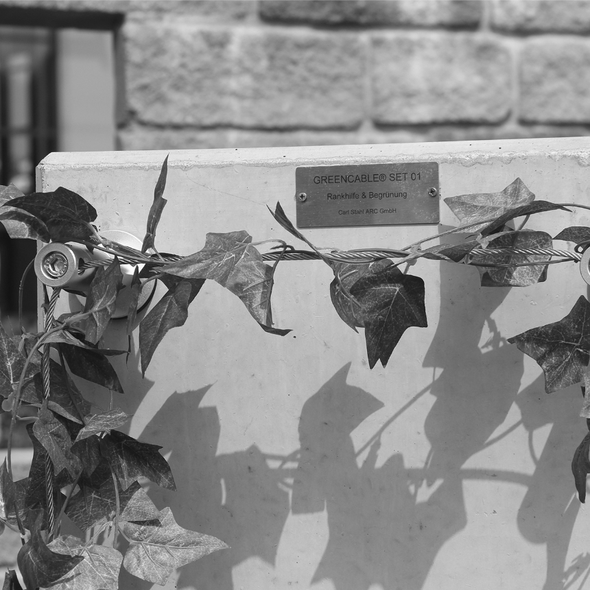 Des Treillis En Métal Haute En Câbles D'acier Inoxydable Reliés Au Mur De  La Maison Poussent Et Enveloppent La Vigne. C Image stock - Image du  gravier, jardin: 252963533